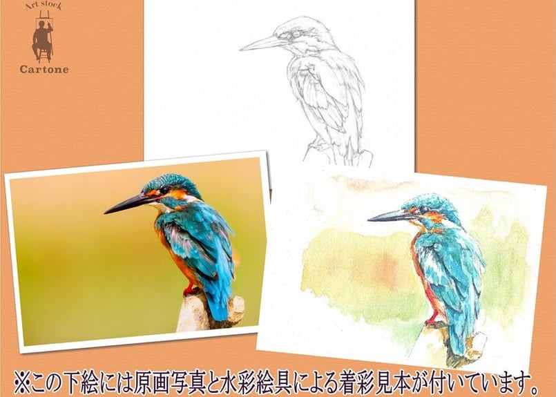006b ブルーが美しいカワセミ（着彩見本付き） | 下絵工房カルトーネ
