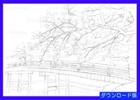 094c  渡月橋と桜