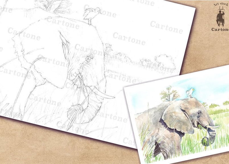 053b ゾウと白い鳥 （着彩見本付き） | 下絵工房カルトーネ