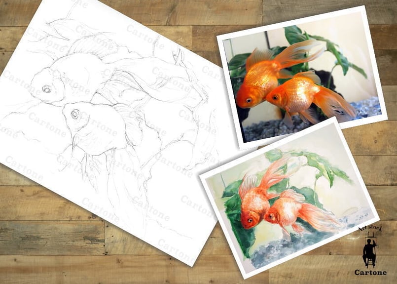 126d 金魚 （着彩見本付き） | 下絵工房カルトーネ