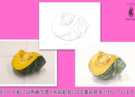 047d  かぼちゃ （着彩見本付き）