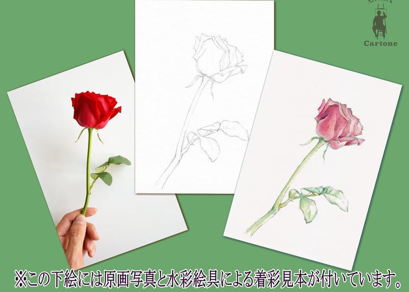 015b 赤いバラ （着彩見本付き） | 下絵工房カルトーネ