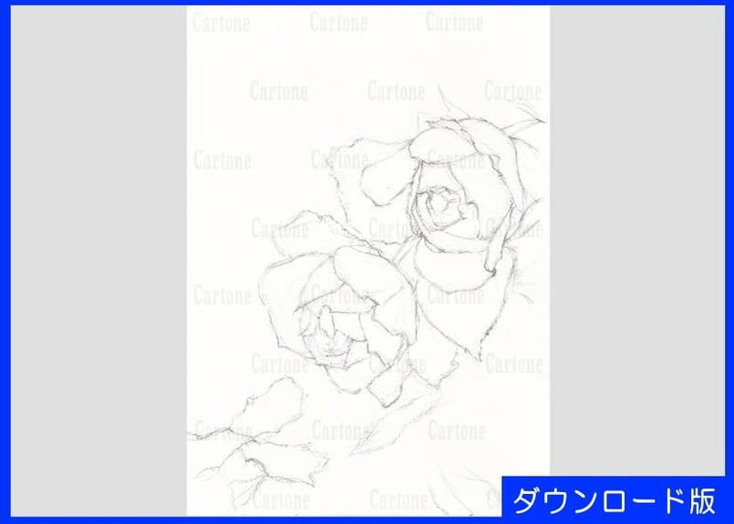 016c 二輪のバラ | 下絵工房カルトーネ