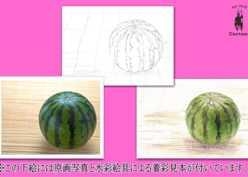 056b スイカ （着彩見本付き） | 下絵工房カルトーネ