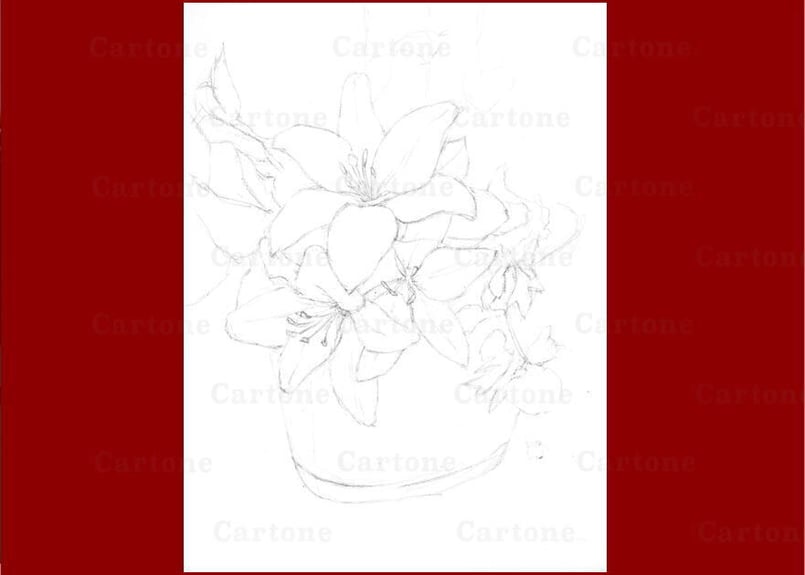 138b ピンクのユリ （着彩見本付き） | 下絵工房カルトーネ