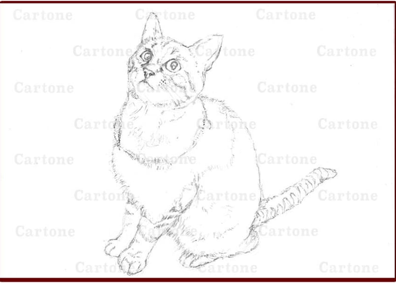 イラスト原画 「見上げる猫」 水彩原画2Lサイズ_見上げる猫【フレーム付き】 - KM-ATELIER'S