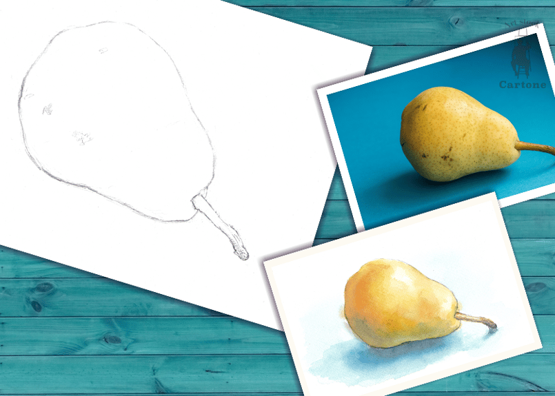 012b 洋梨（着彩見本付き） | 下絵工房カルトーネ