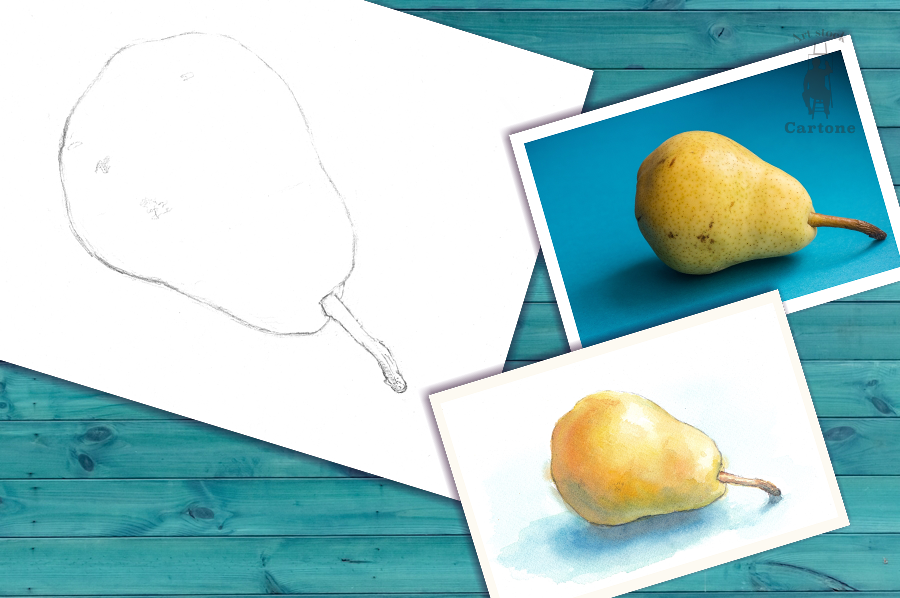 012b 洋梨（着彩見本付き） | 下絵工房カルトーネ