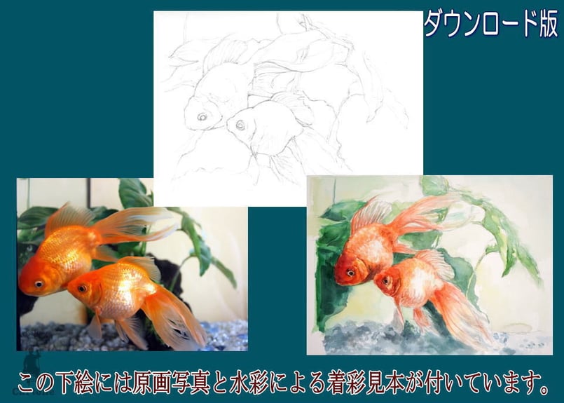 126d 金魚 （着彩見本付き） | 下絵工房カルトーネ