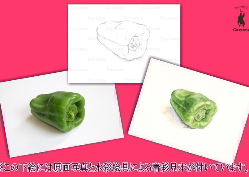 068d ピーマン （着彩見本付き） | 下絵工房カルトーネ