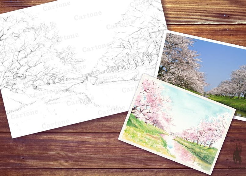 077b 川辺の桜 （着彩見本付き） | 下絵工房カルトーネ