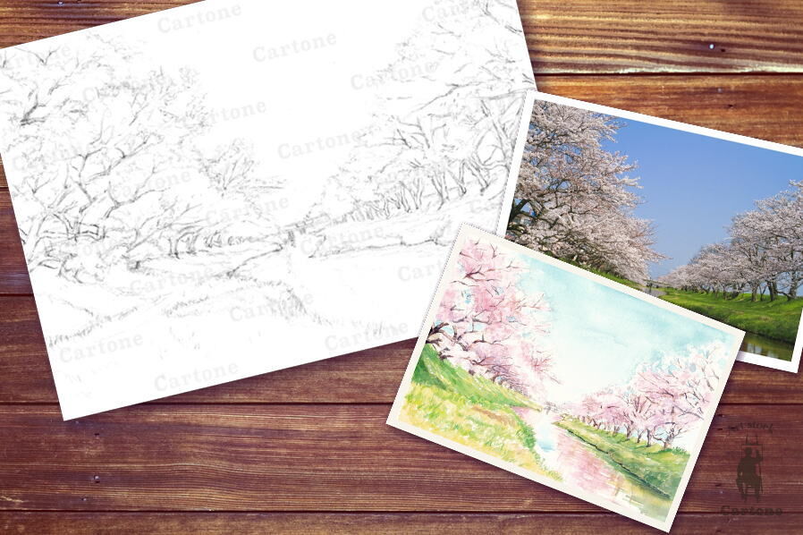 077b 川辺の桜 （着彩見本付き） | 下絵工房カルトーネ