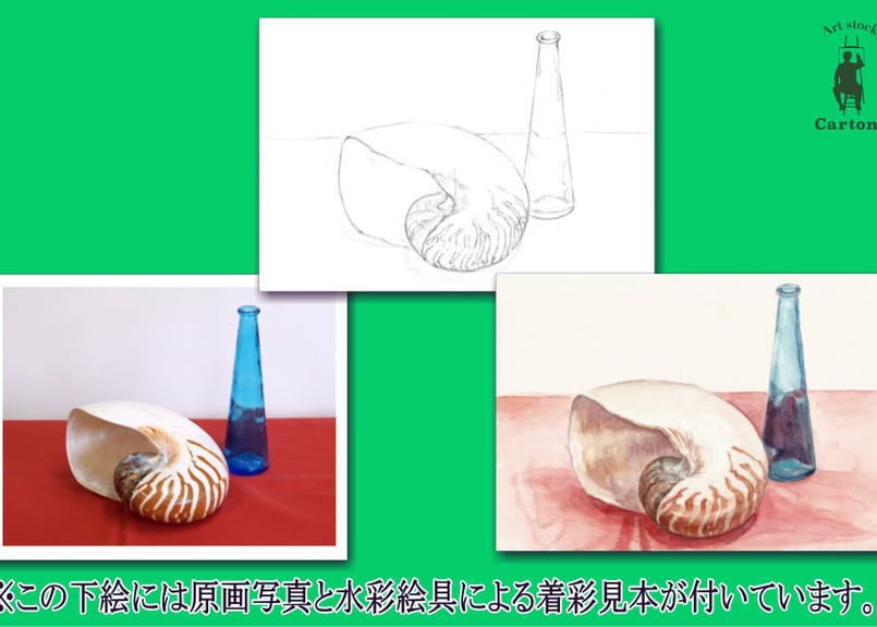 049d オウム貝と青いビン （着彩見本付き） | 下絵工房カルトーネ