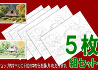団体様向け5枚セット