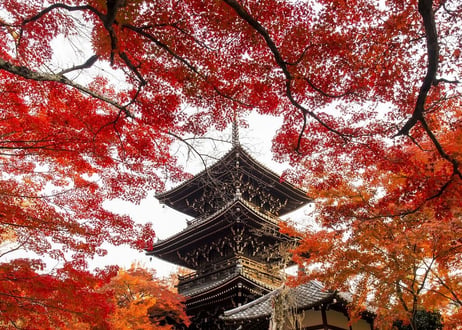 133c 真正極楽寺の紅葉