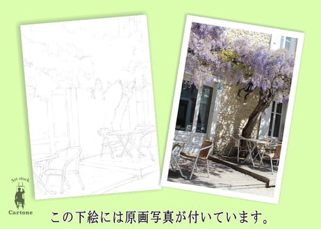 190c 藤の花咲くテラス