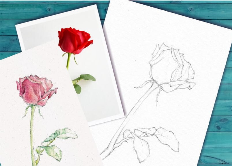 015b 赤いバラ （着彩見本付き） | 下絵工房カルトーネ