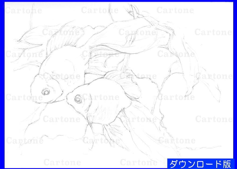 126c 金魚 | 下絵工房カルトーネ