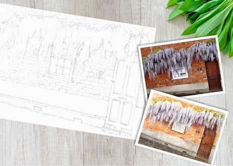160b 古いレンガの壁に藤の花 （着彩見本付き）