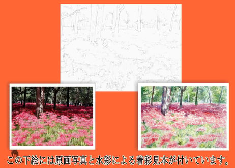 193b 曼殊沙華公園 （着彩見本付き）
