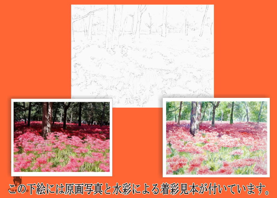 655412fe77e8d2110de2cda8