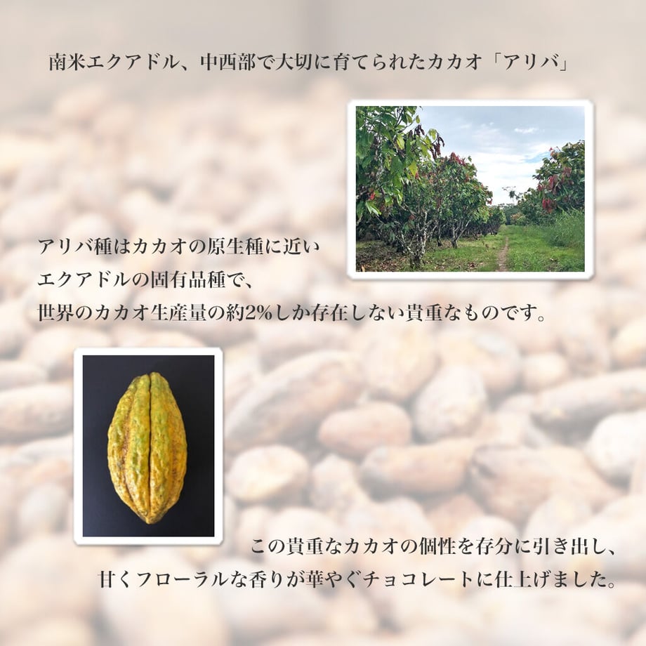 616fa99a1bfe19483860c79c