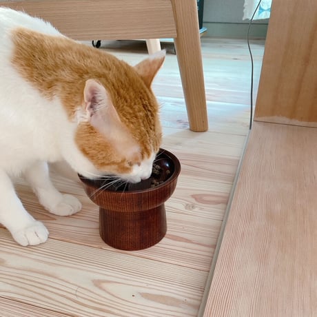 もくのすけ  猫の器