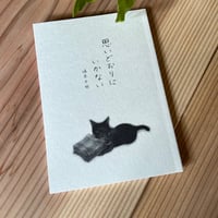 「思いどおりにいかない」　坂本千明