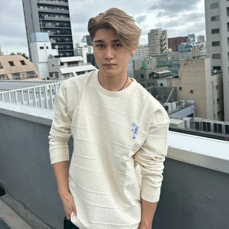 jacquard crew sweat 　[OFF WHITE]　HEV-25019