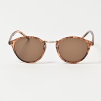 sunglasses　 [demi/brown]　HEV-ZK22002