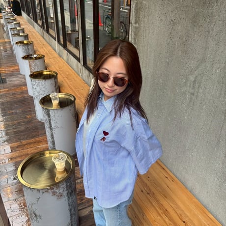 sunglasses　 [demi/brown]　HEV-ZK22002