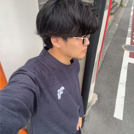 jacquard crew sweat 　[NAVY]　HEV-25019