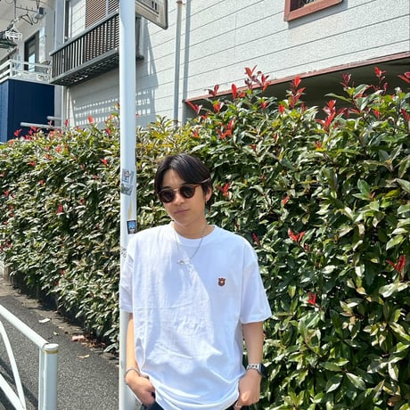 sunglasses　 [demi/brown]　HEV-ZK22002