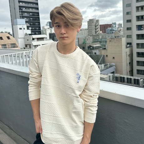 jacquard crew sweat 　[OFF WHITE]　HEV-25019
