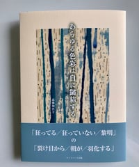 吉岡実を読め! 小笠原鳥類と広瀬大志のサイン入り 小笠原鳥類『吉岡実を読め！』／『吉岡実詩集』／『小笠原鳥類詩集』｜KAZE