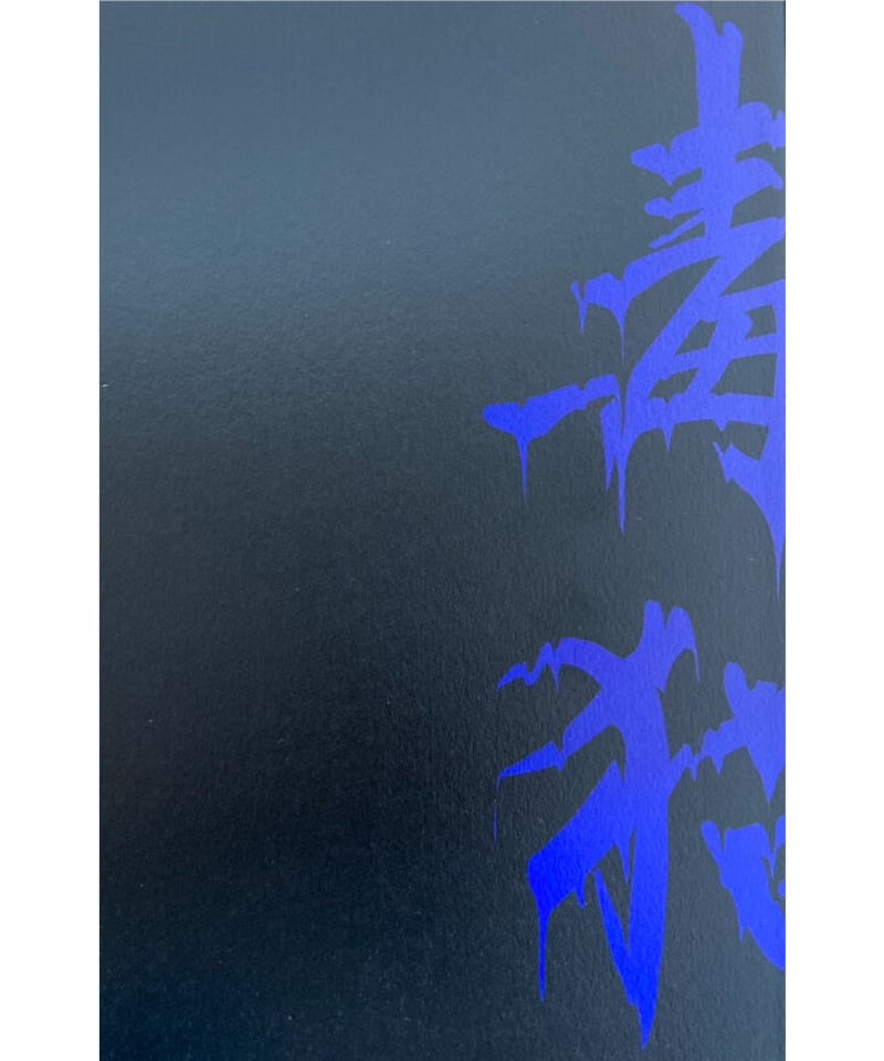 広瀬大志 詩集『毒猫』【第二回西脇順三郎賞受賞作品】 | 聲℃ 【Said】