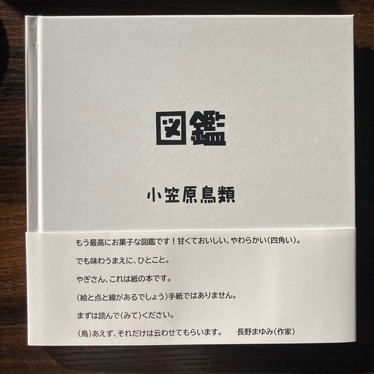小笠原鳥類詩画集『図鑑』 | 聲℃ 【Said】
