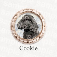 cookie様