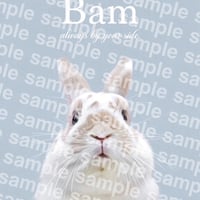 bam様