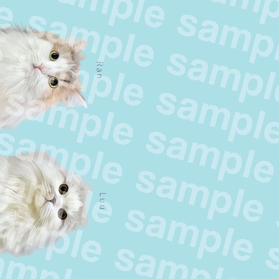 6378d32cabc35c6e09f3d5fd