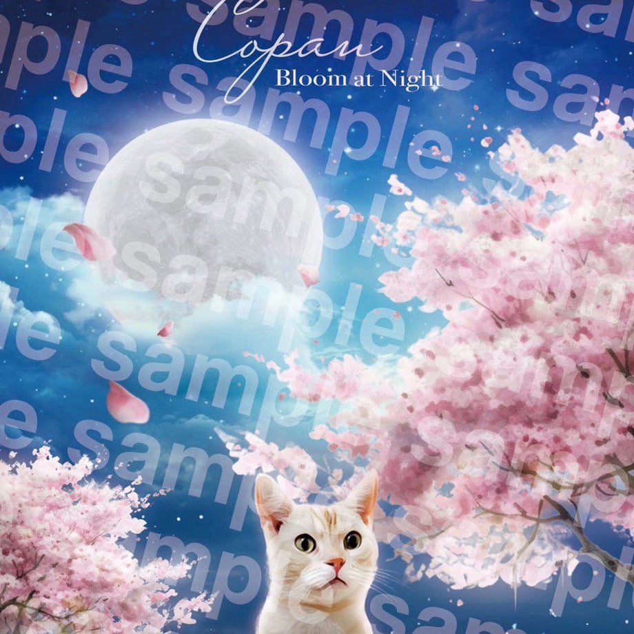6628fcde07e36709fa7a9f9e