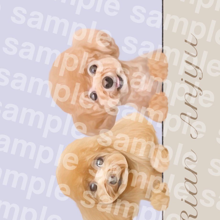 67e263fda75109625efa65d6