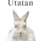 utatan様