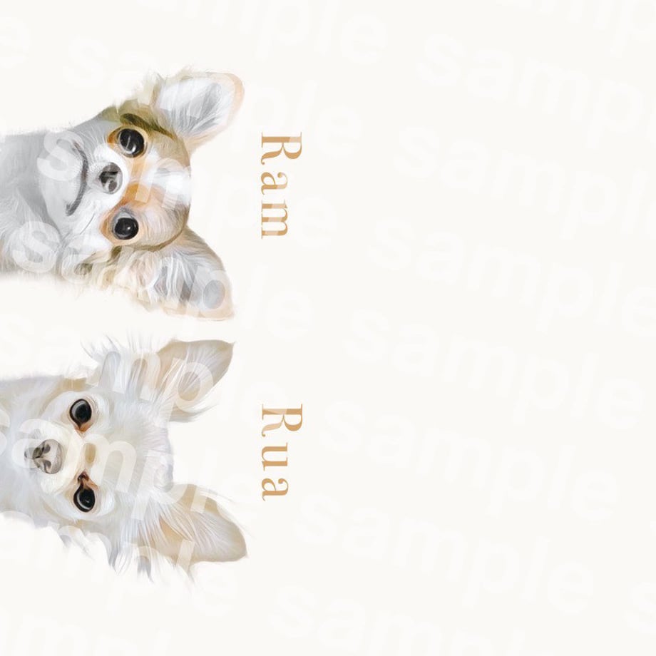 6600db2ef638a102dc59c477
