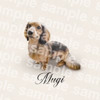 mugi様
