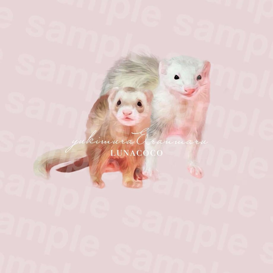 6352b55b4292bf4b2eee3972
