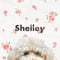 Shelley様