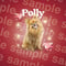 Polly様