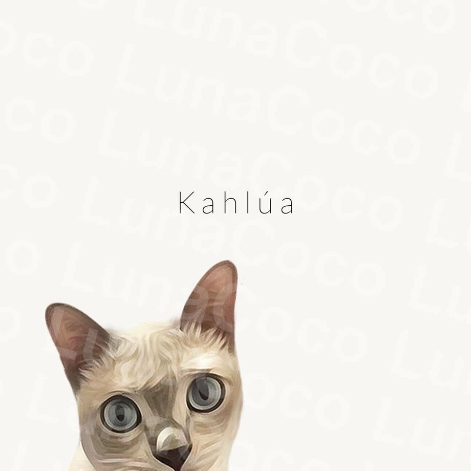 636dbed94b08391d95f9022e