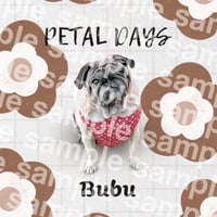 bubu様